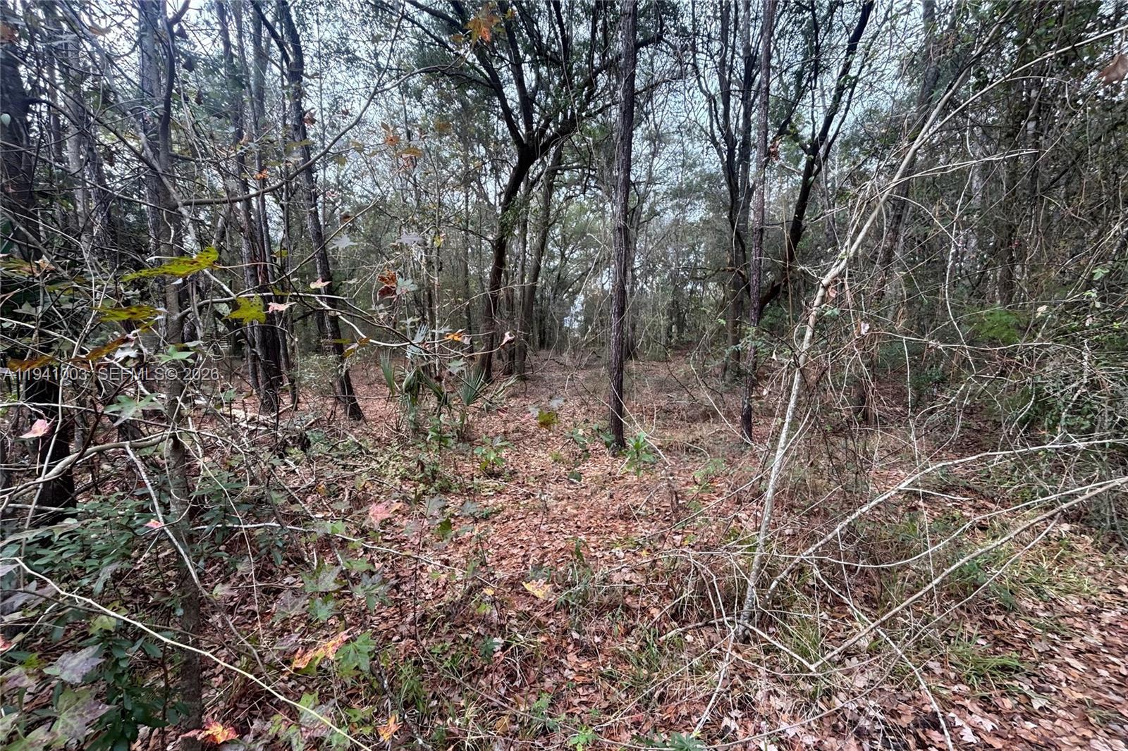 0 Landward Property Photo 4