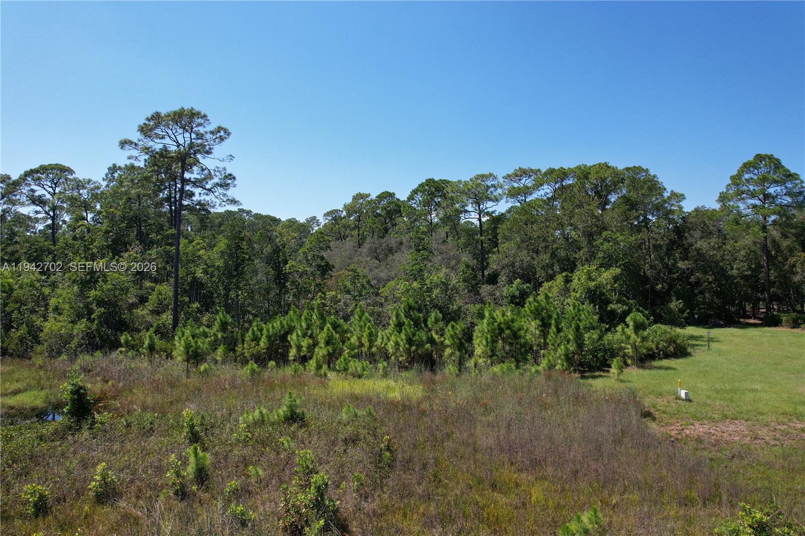 0 Jb Carter Rd Property Photo 5