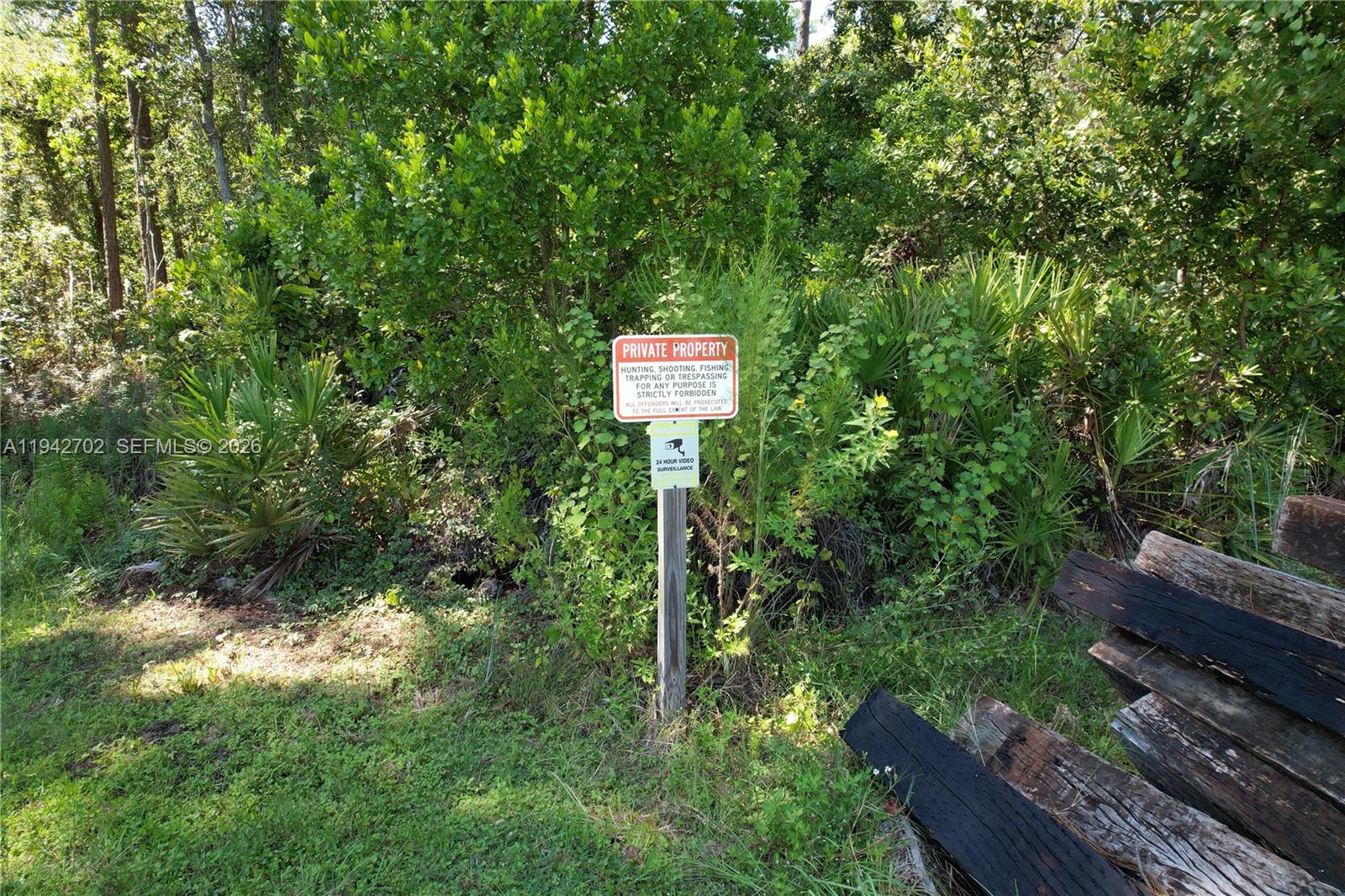 0 Jb Carter Rd Property Photo 6