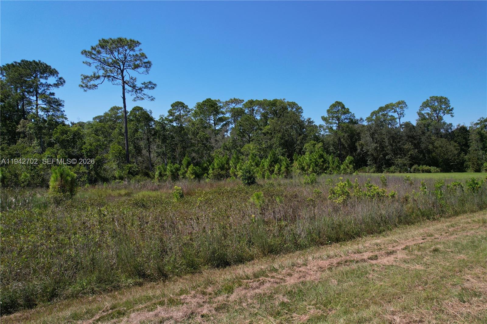 0 Jb Carter Rd Property Photo 7