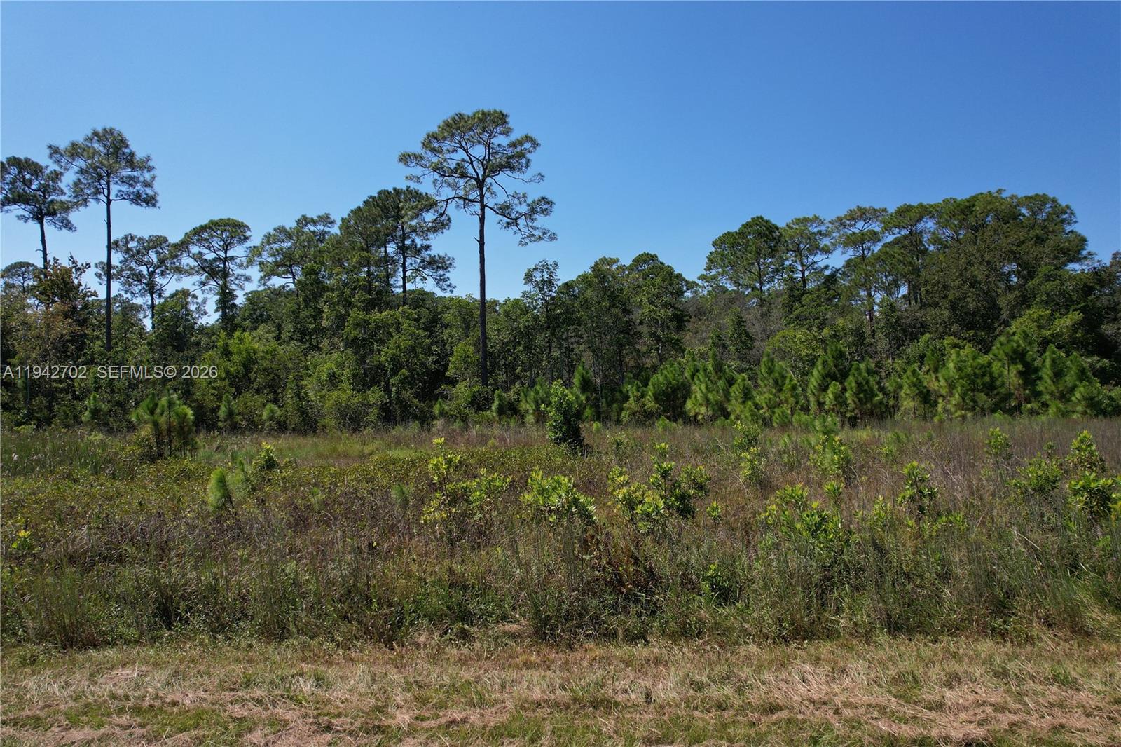 0 Jb Carter Rd Property Photo 9