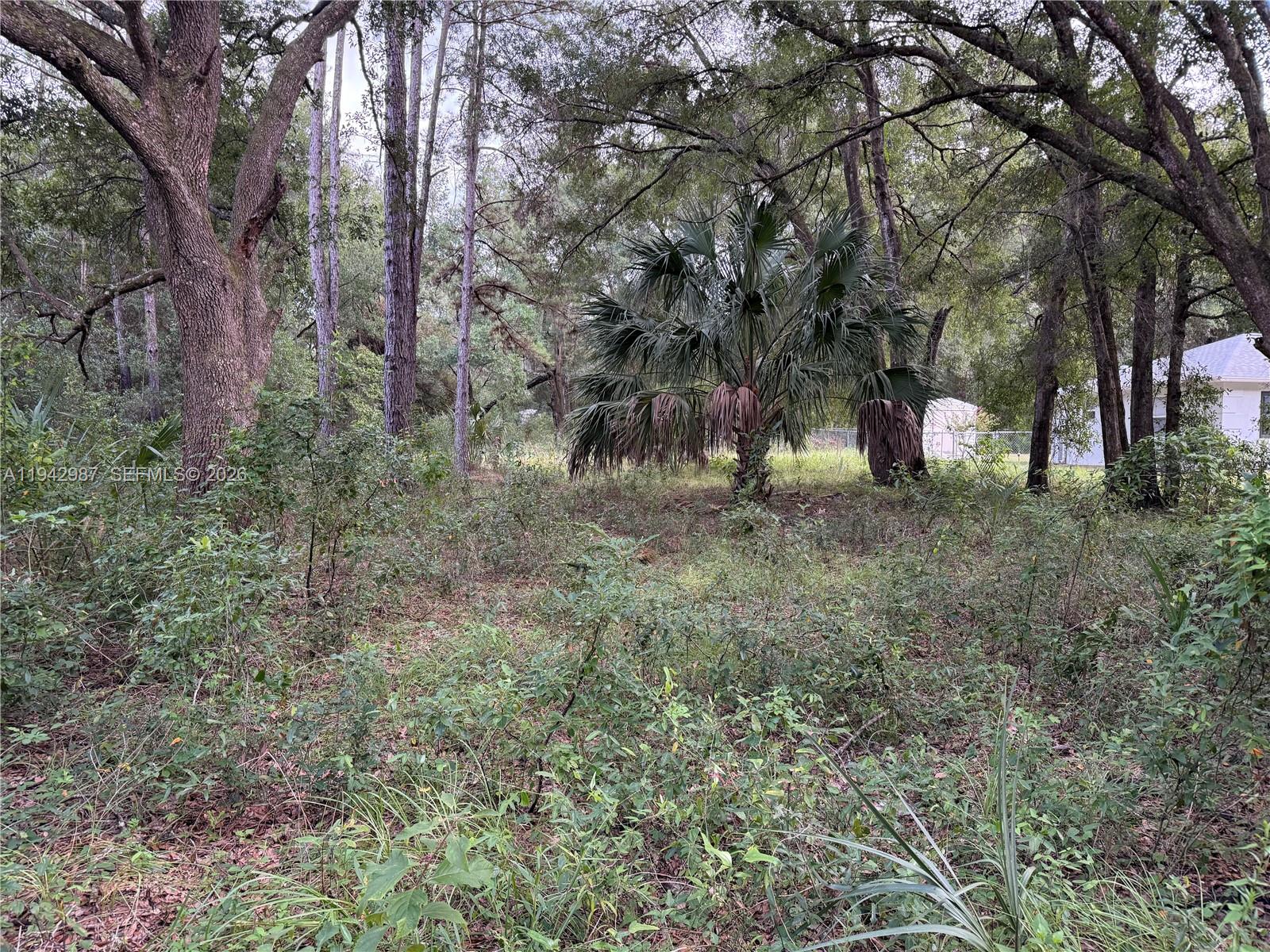 0 St Benedict Dr Property Photo 1