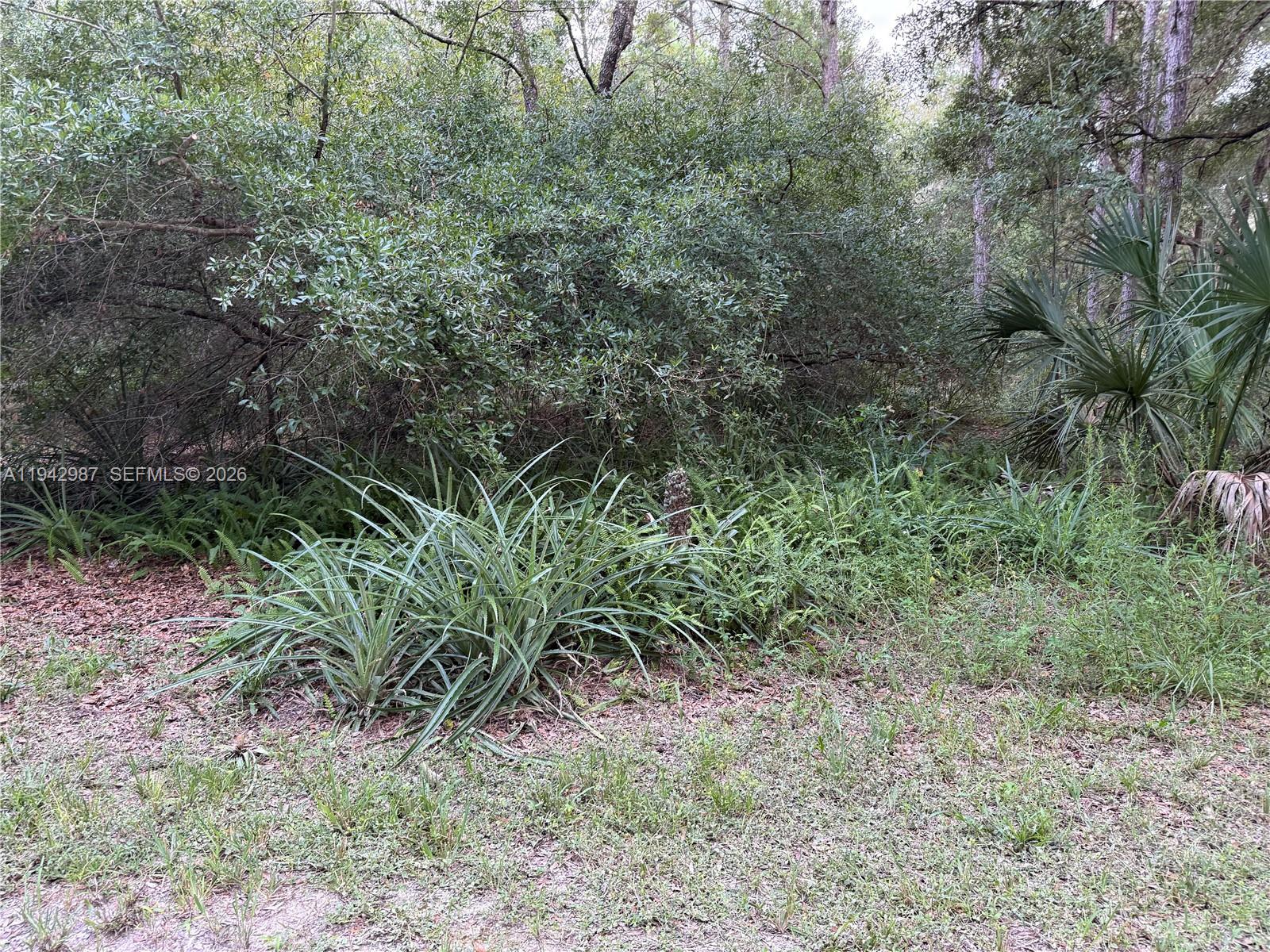 0 St Benedict Dr Property Photo 2