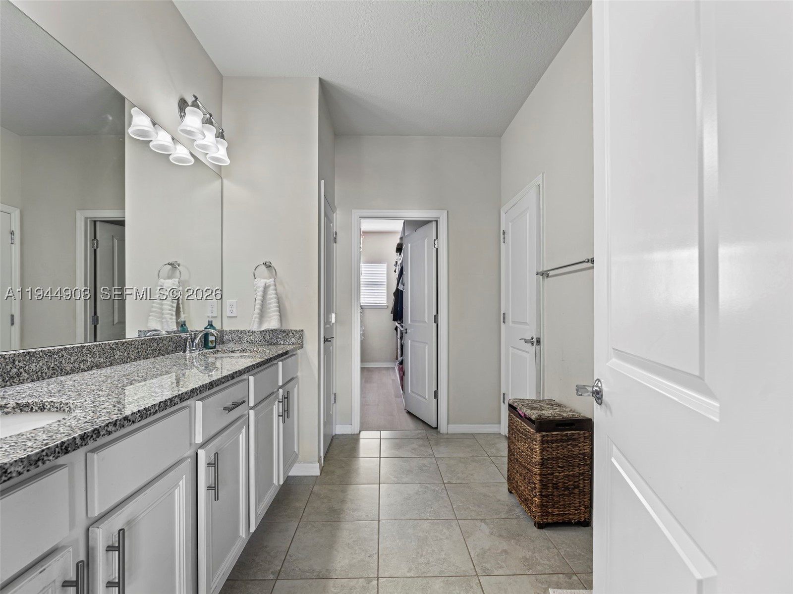 3953 Black Olive Ln Property Photo 29