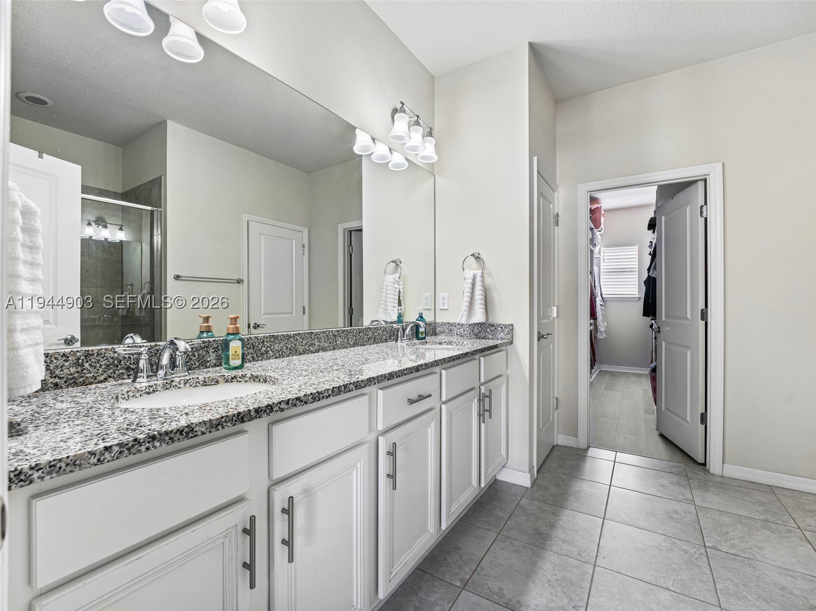 3953 Black Olive Ln Property Photo 30