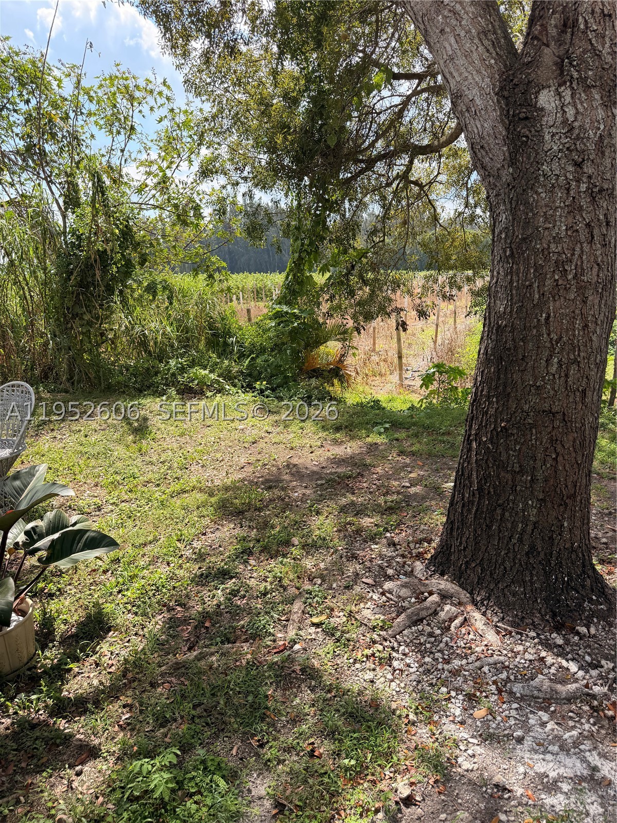 13264 Old Biscayne Dr 405 Property Photo 8