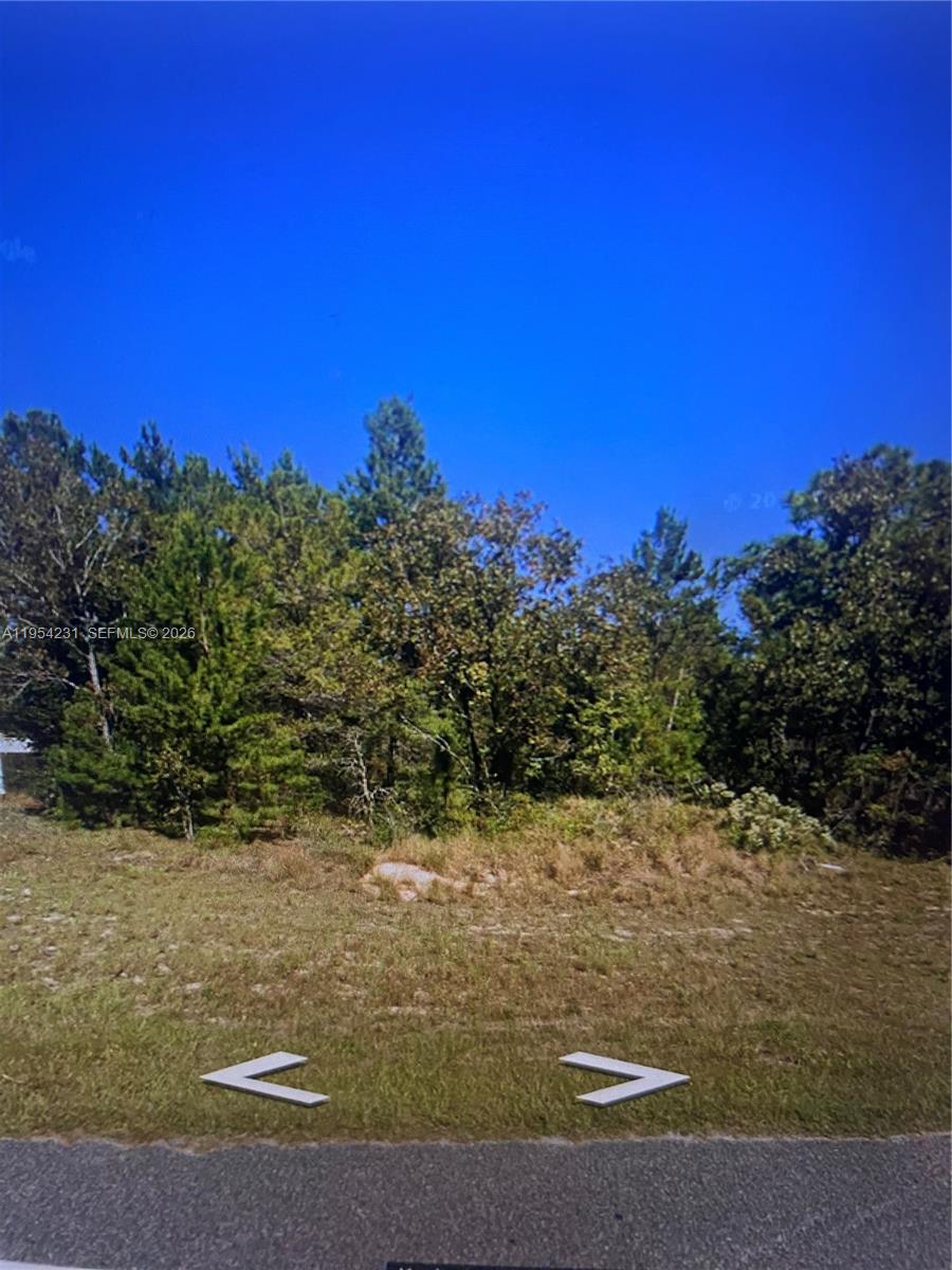 St Interlachen Property Photo 1