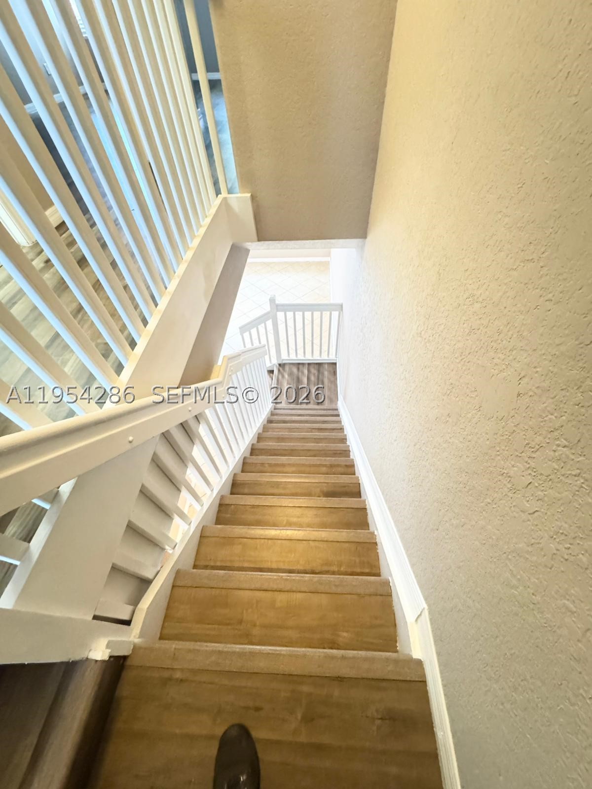 3622 Oleander Ter Property Photo 18