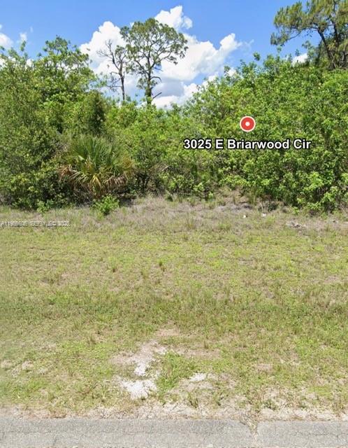 3025 E Briarwood Cir Property Photo 5