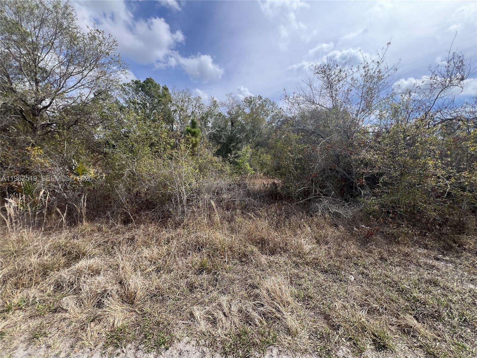 1913 Roderick Ln Property Photo 7