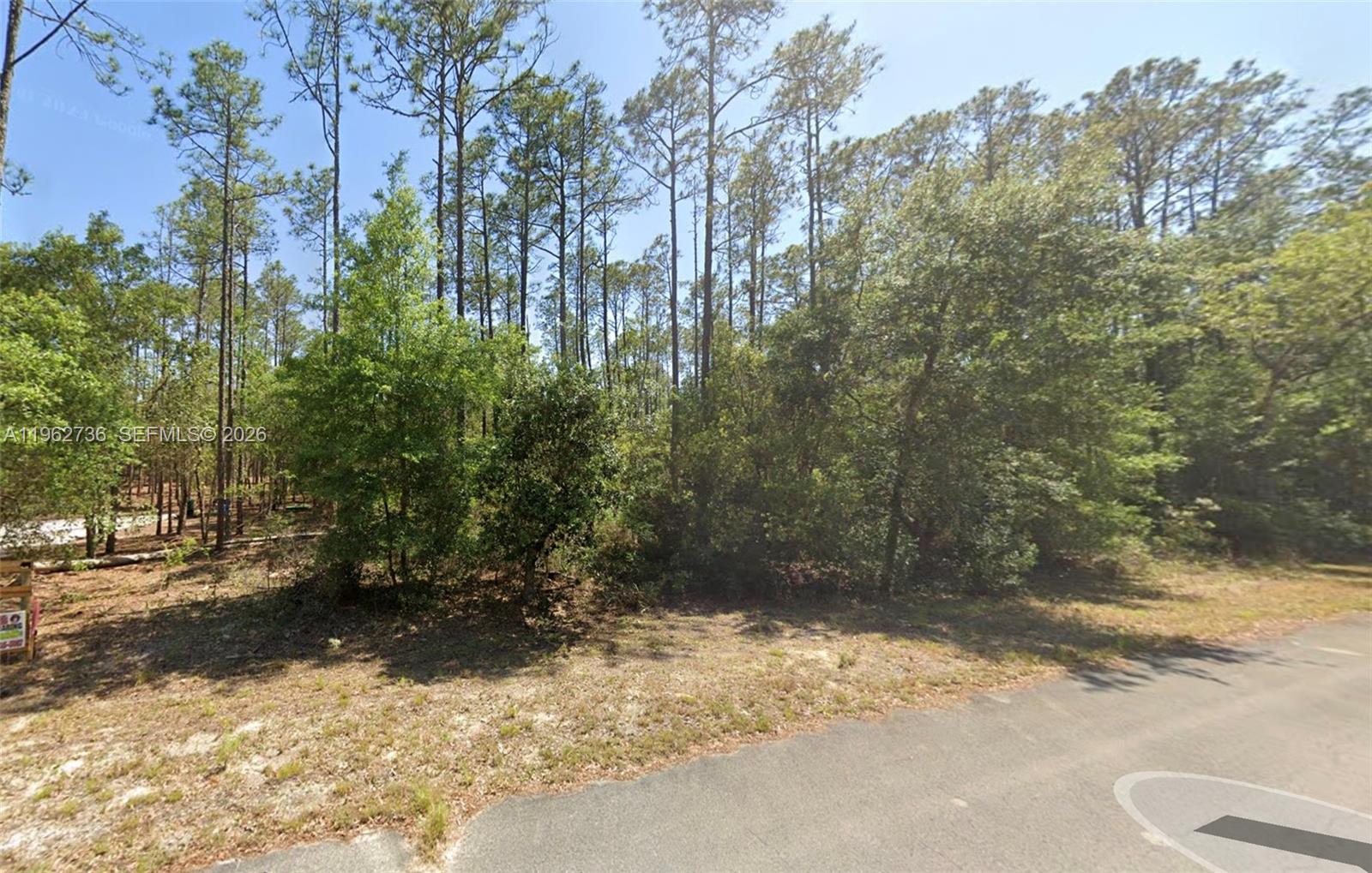 000 Dunnellon Property Photo 4