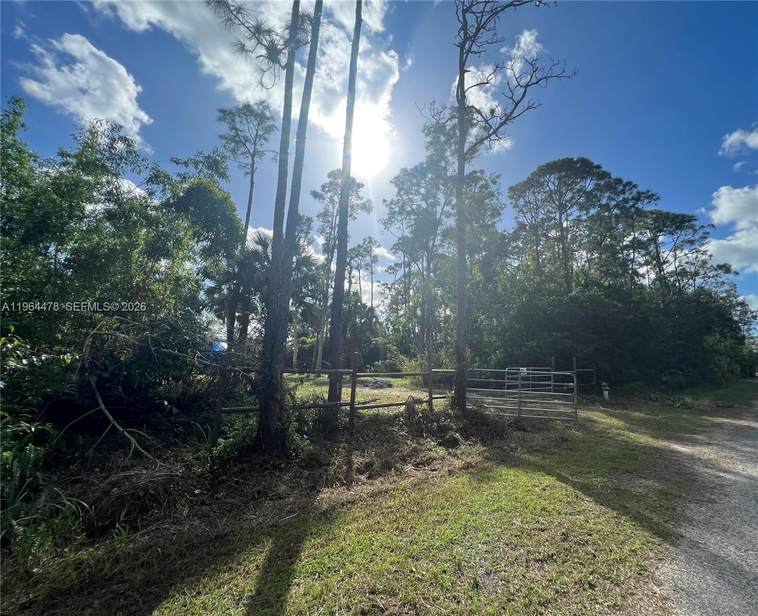 3050 Pine Tree Dr Property Photo 5