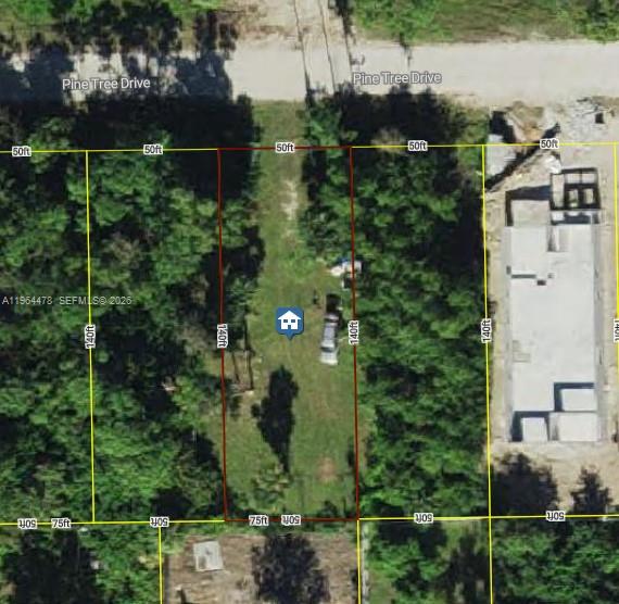 3050 Pine Tree Dr Property Photo 6