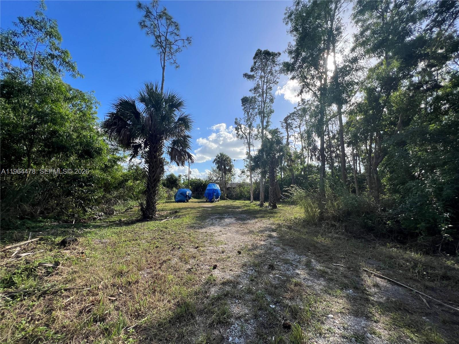 3050 Pine Tree Dr Property Photo 8