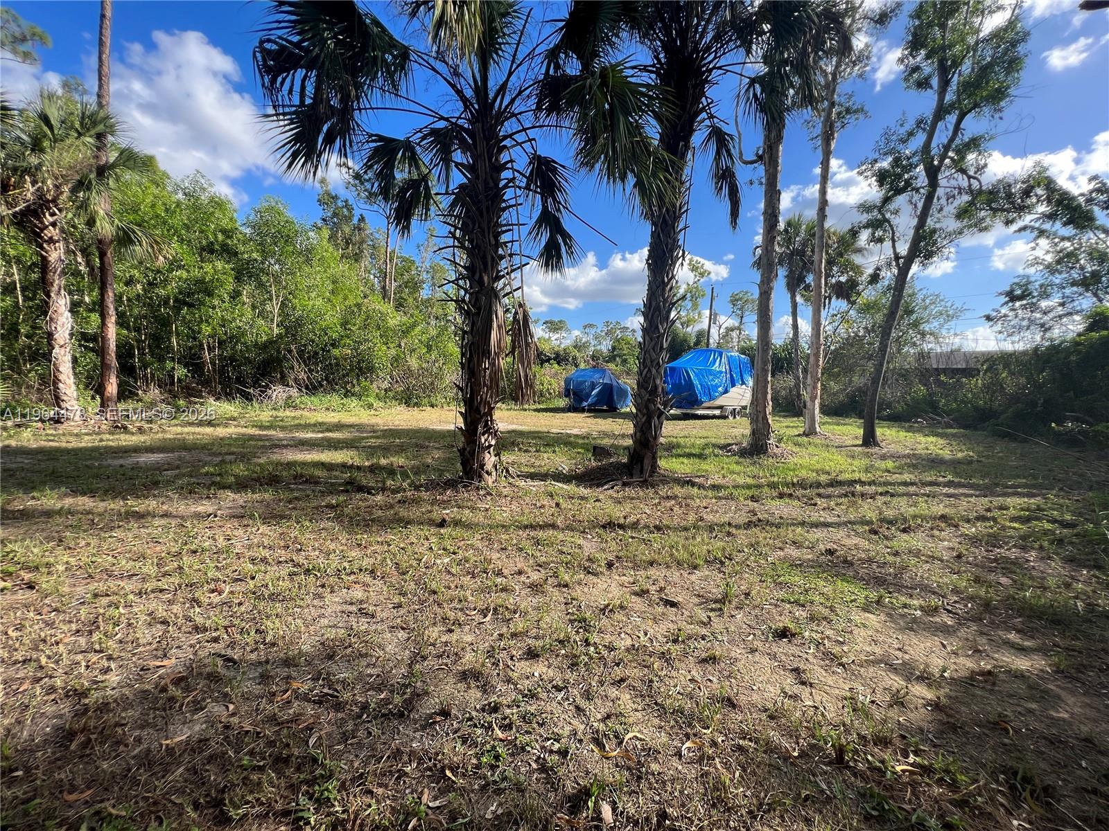 3050 Pine Tree Dr Property Photo 9