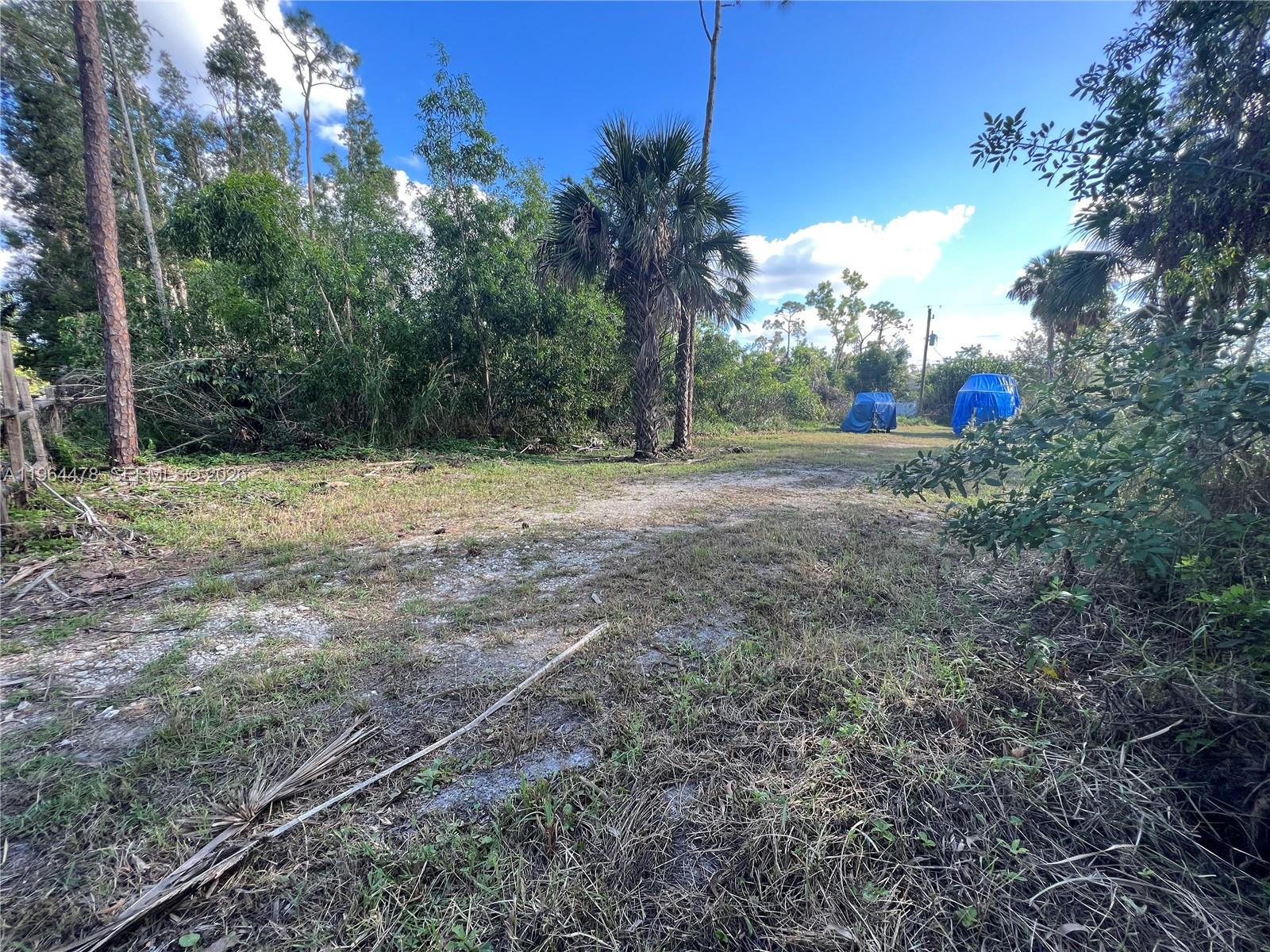 3050 Pine Tree Dr Property Photo 10