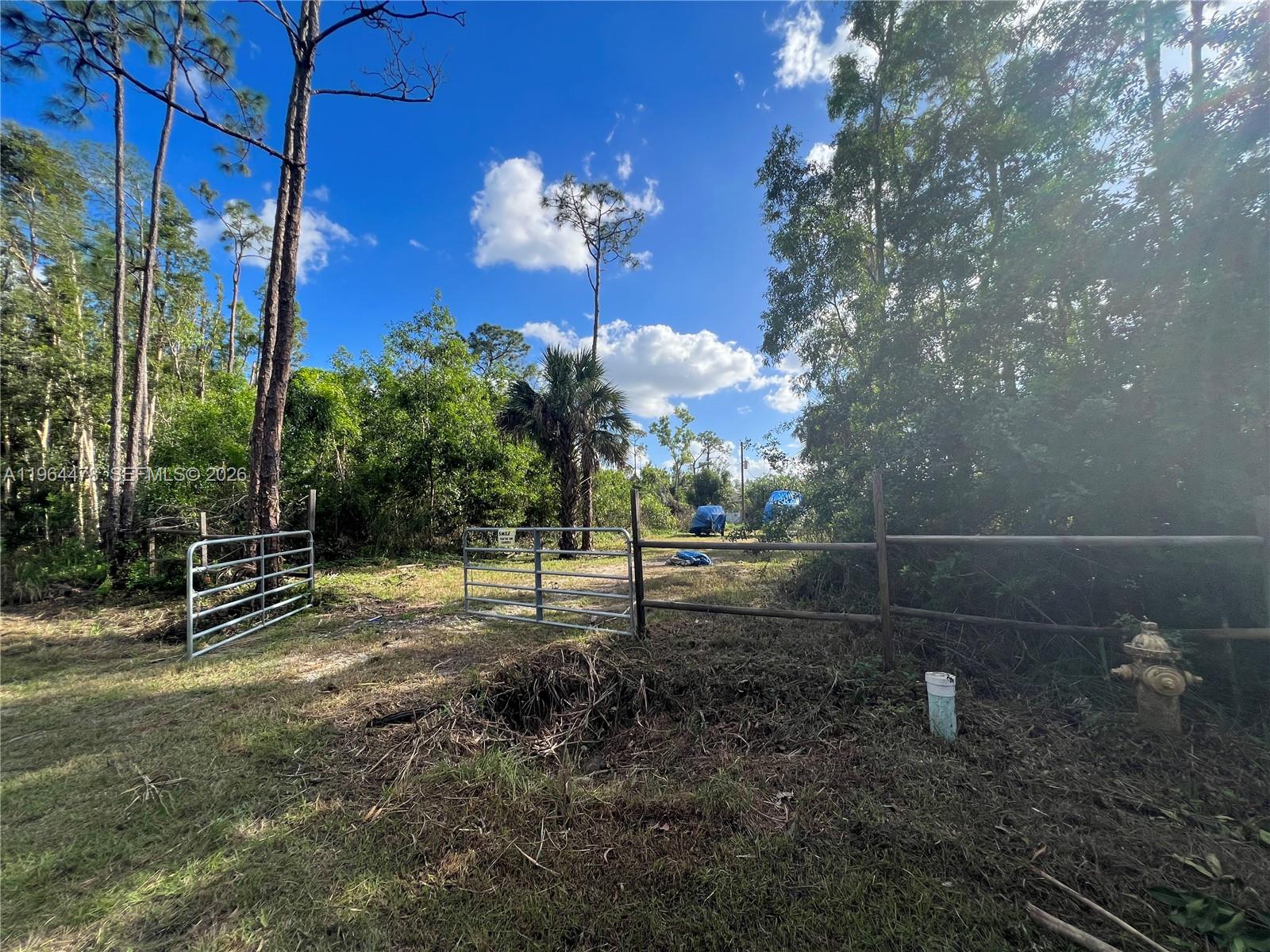 3050 Pine Tree Dr Property Photo 17