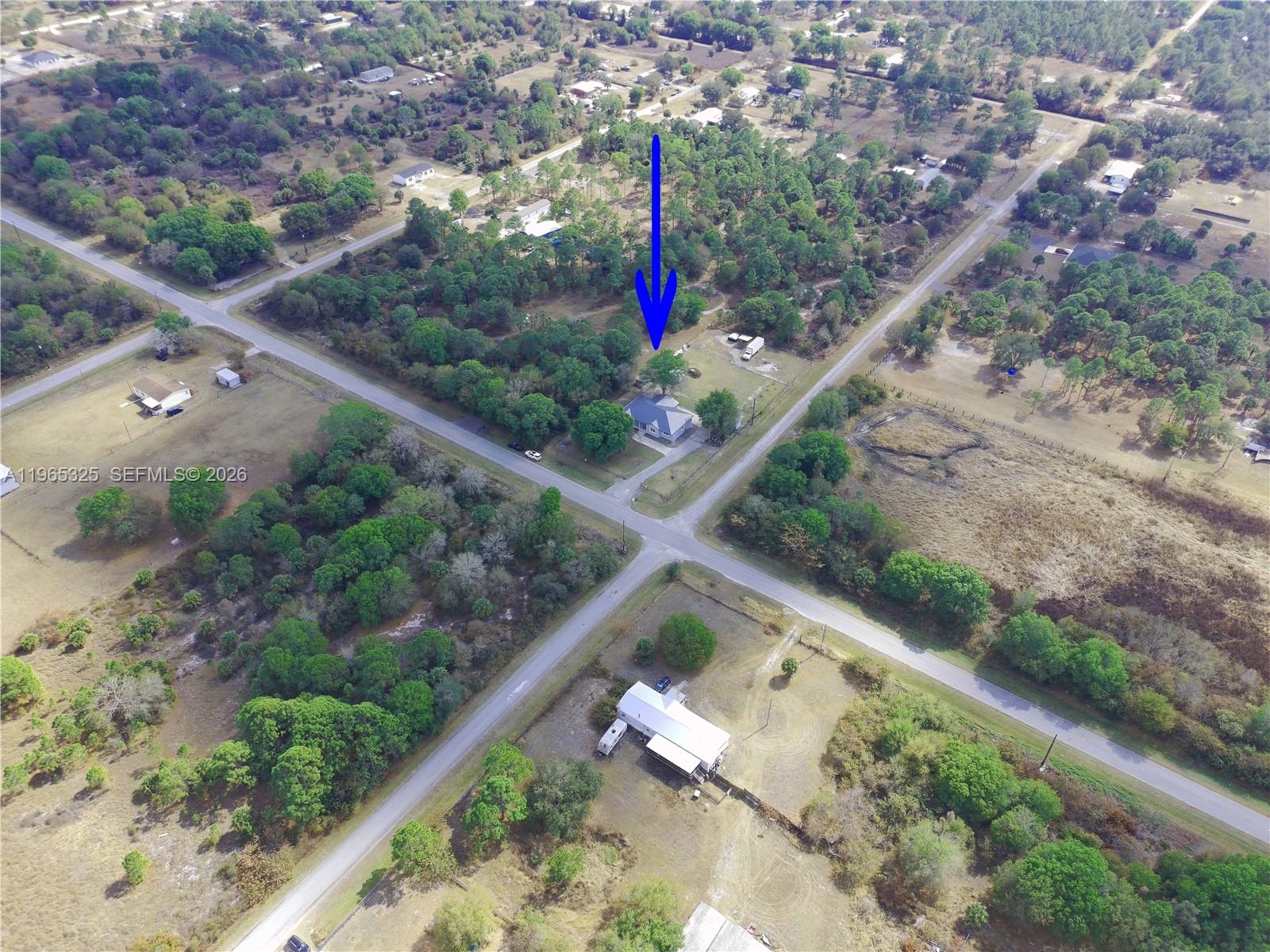 548 Bald Cypress Ave Property Photo 4
