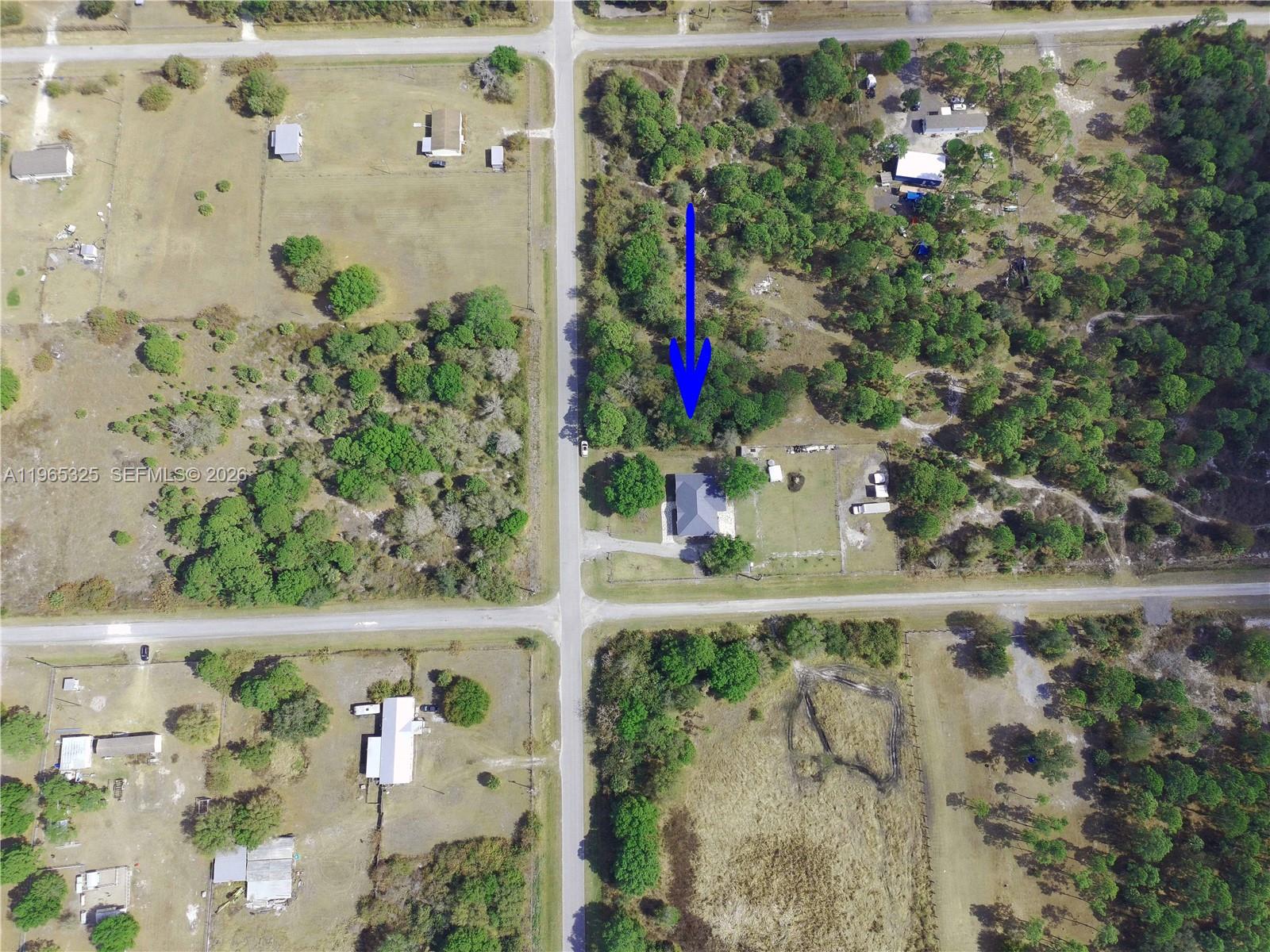 548 Bald Cypress Ave Property Photo 37