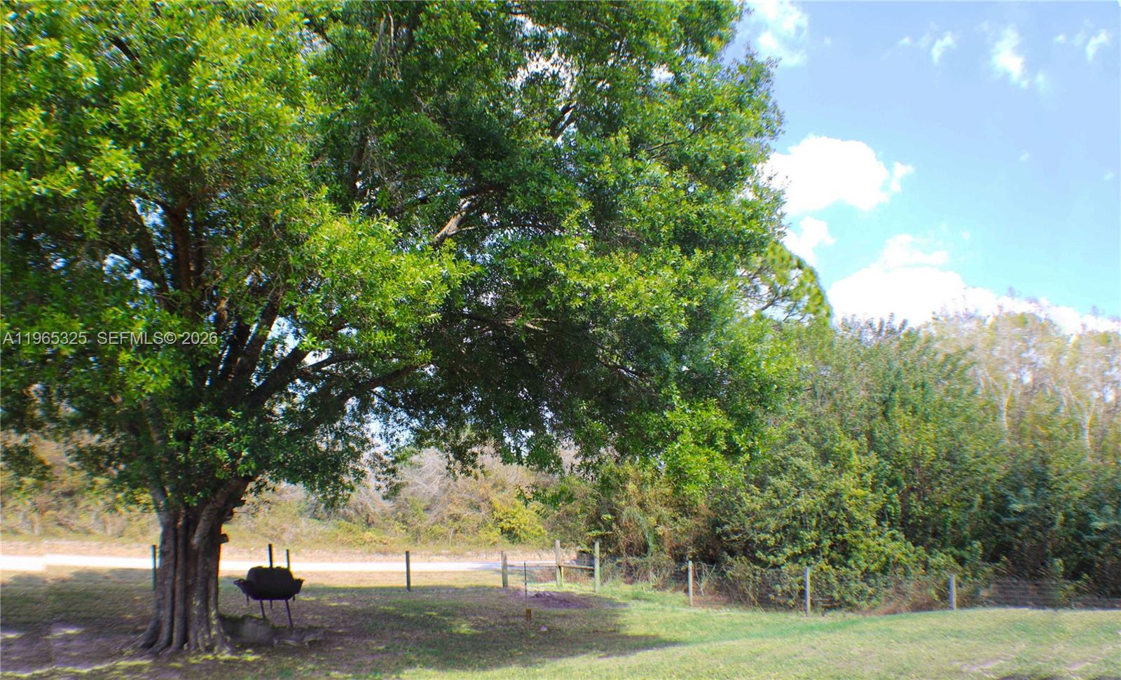 548 Bald Cypress Ave Property Photo 43