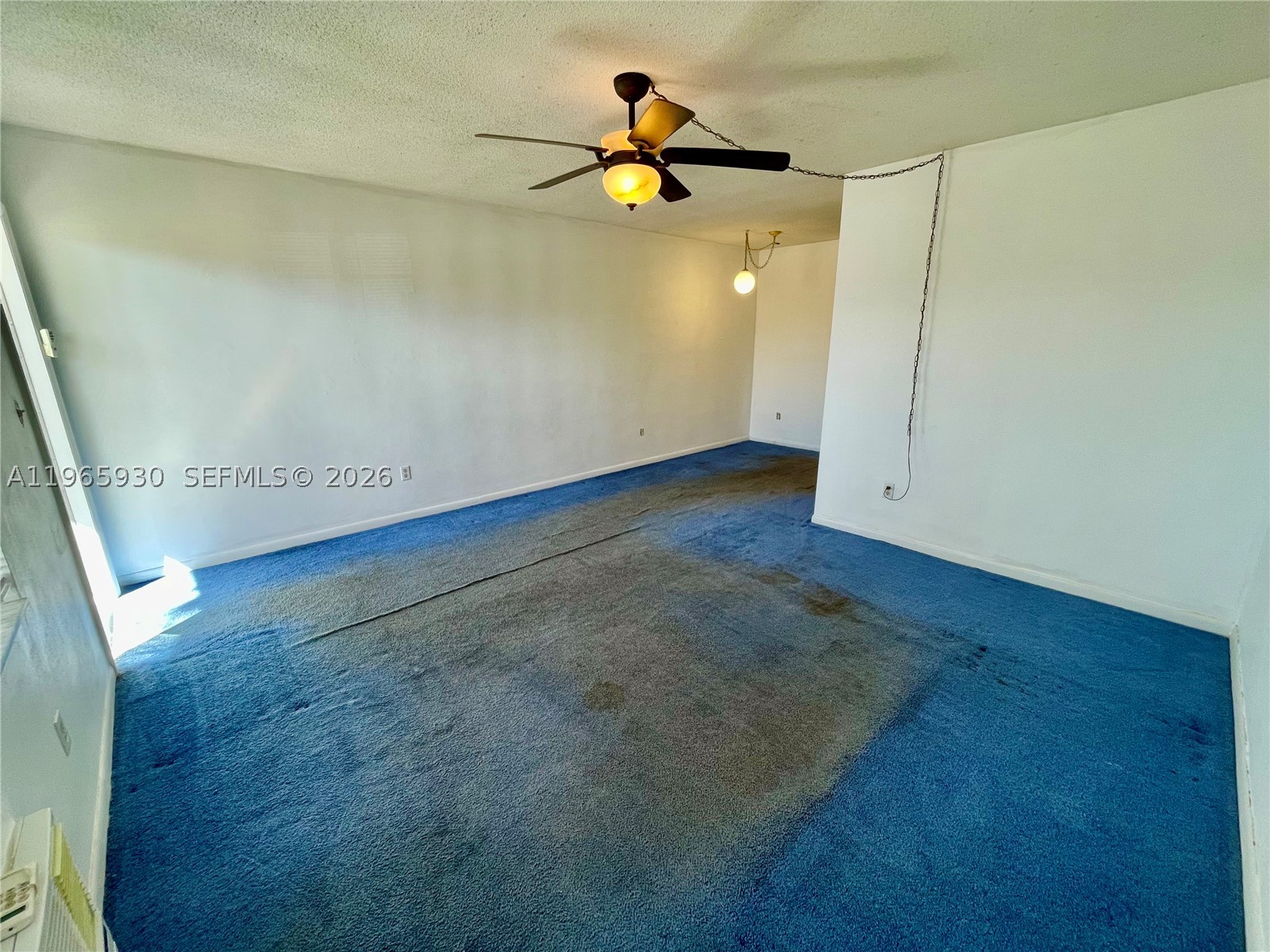 2081 Ne 56th St 101 Property Photo 8