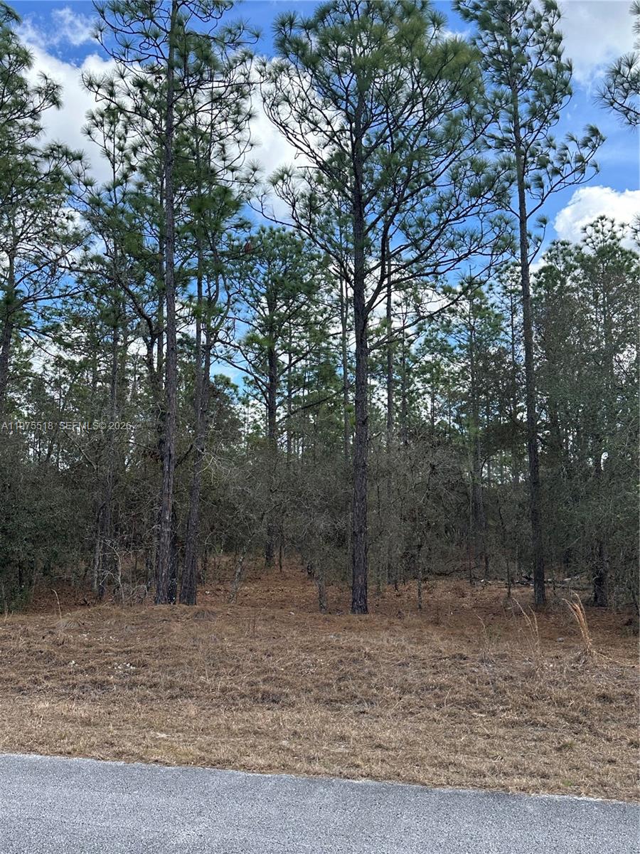 A11975518 Property Photo 7