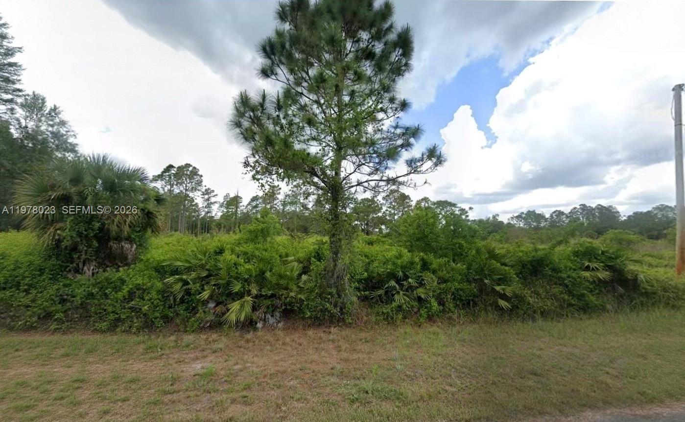 1021 Leroy Ave Property Photo 7