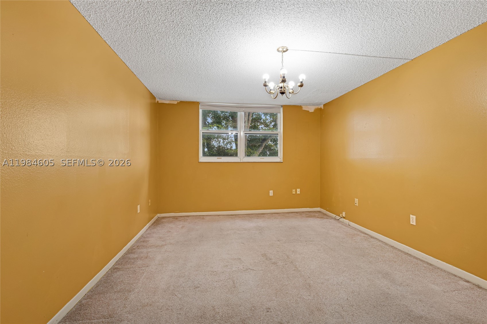 9330 Lime Bay Blvd 209 Property Photo 12