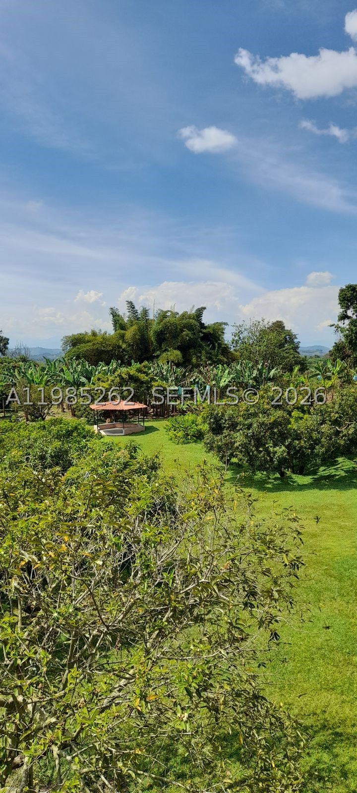 A11985262 Property Photo 9
