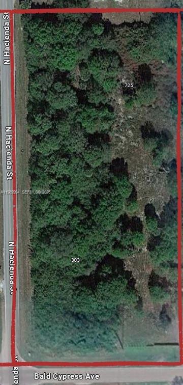 303 Bald Cypress Property Photo 1