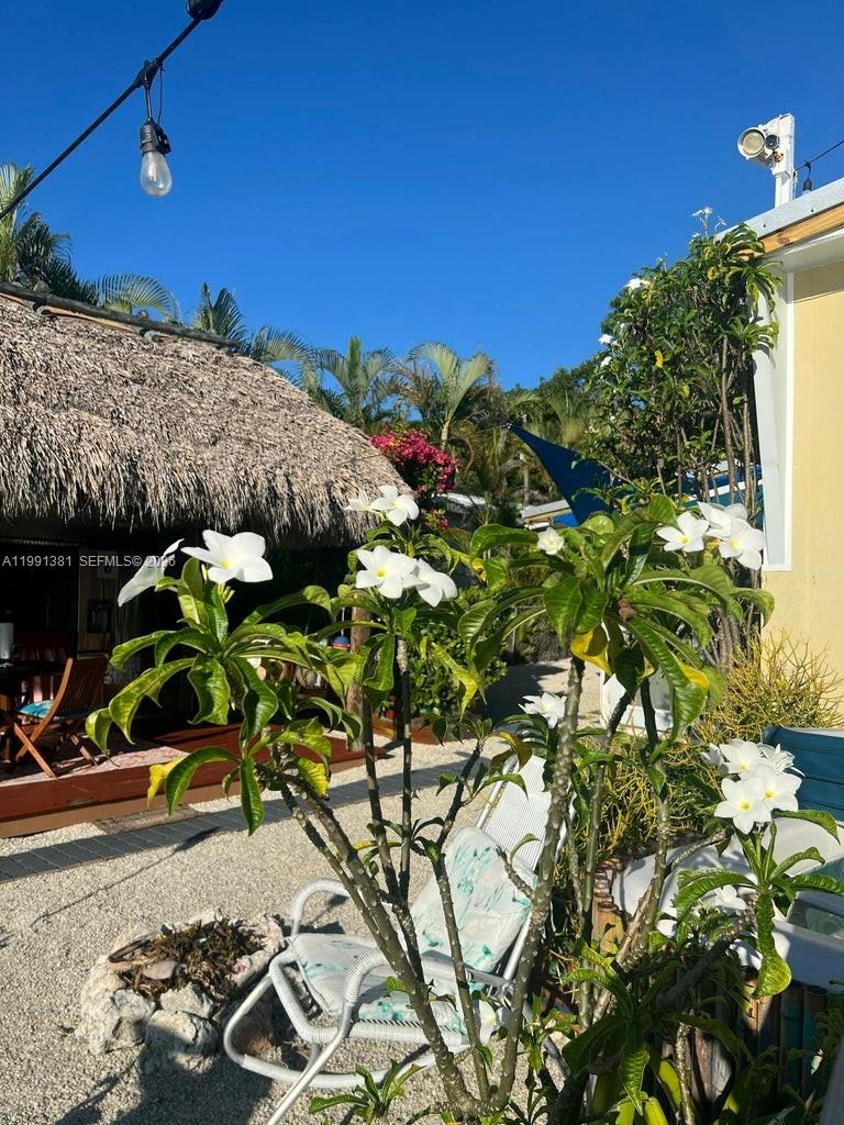 A11991381 Property Photo 12