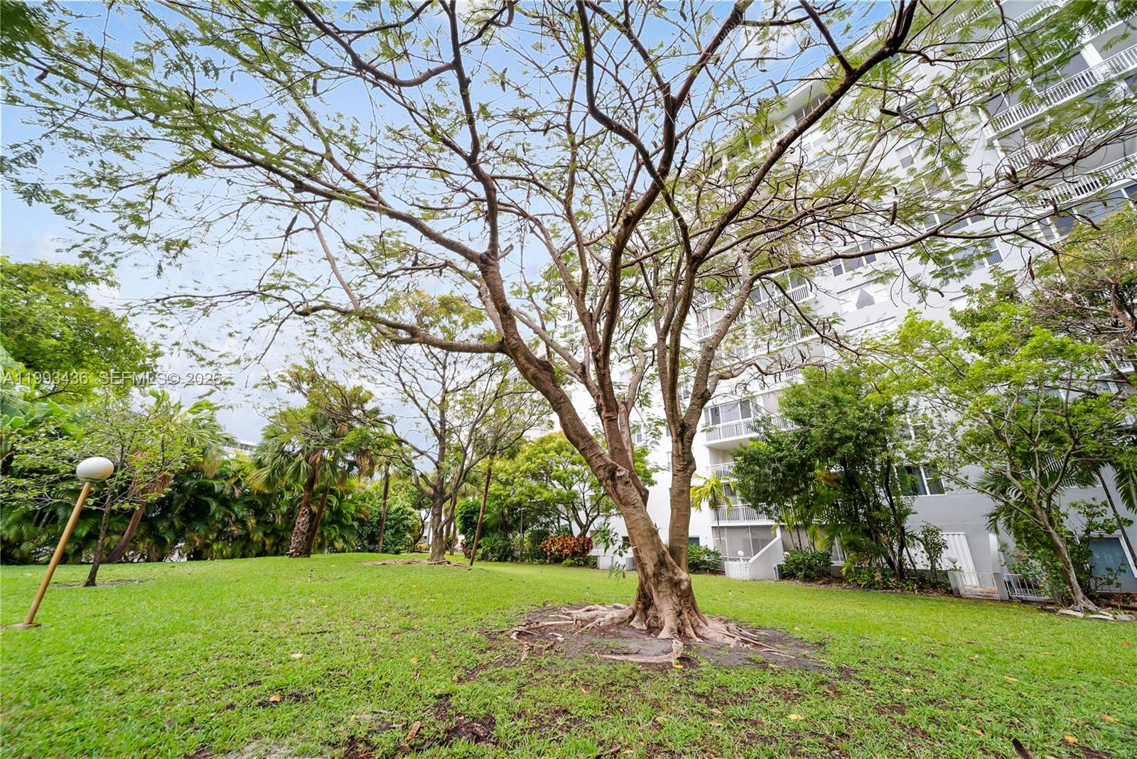 3800 Hillcrest Dr 1007 Property Photo 29