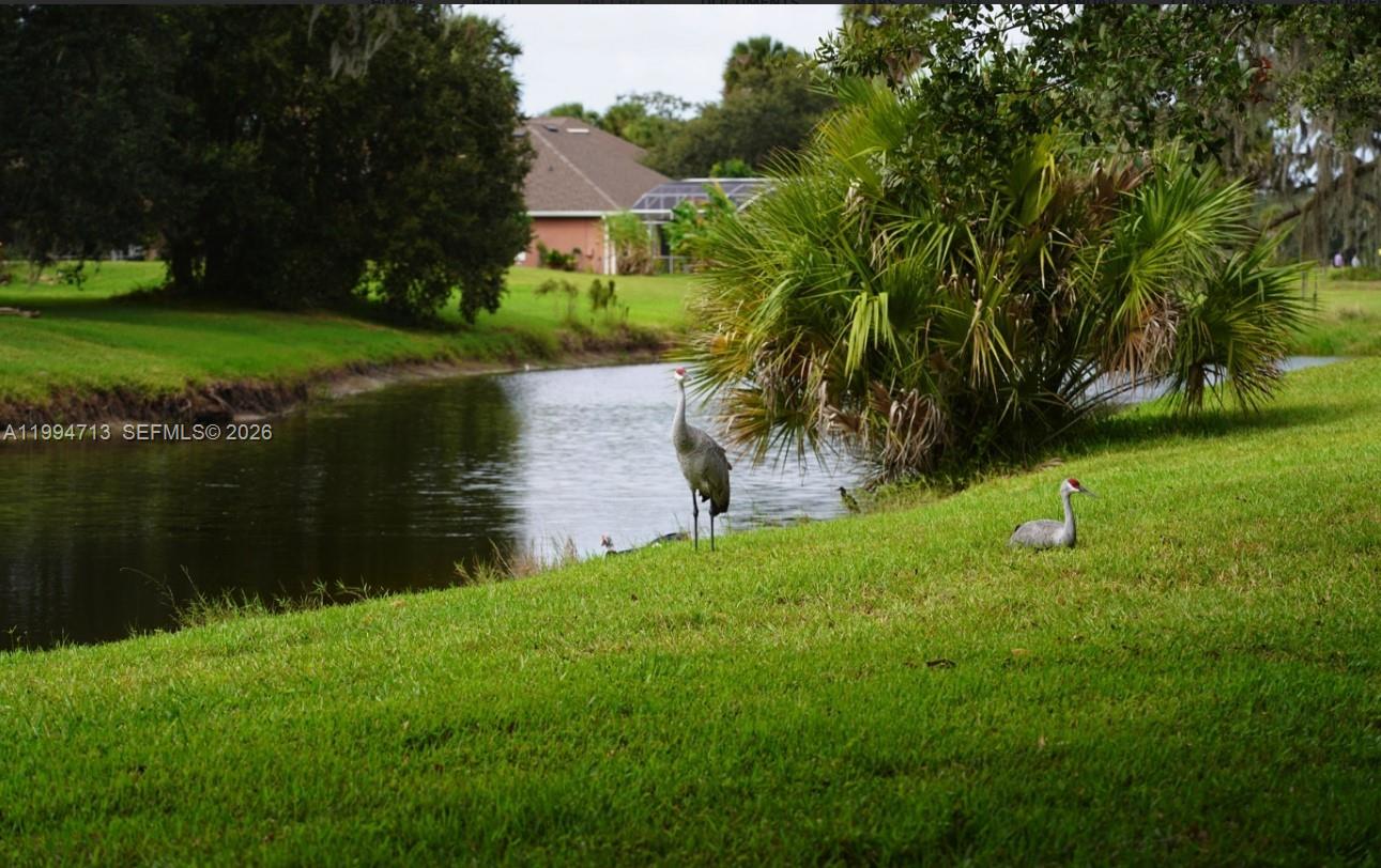 1754 Boat Launch Rd Property Photo 20