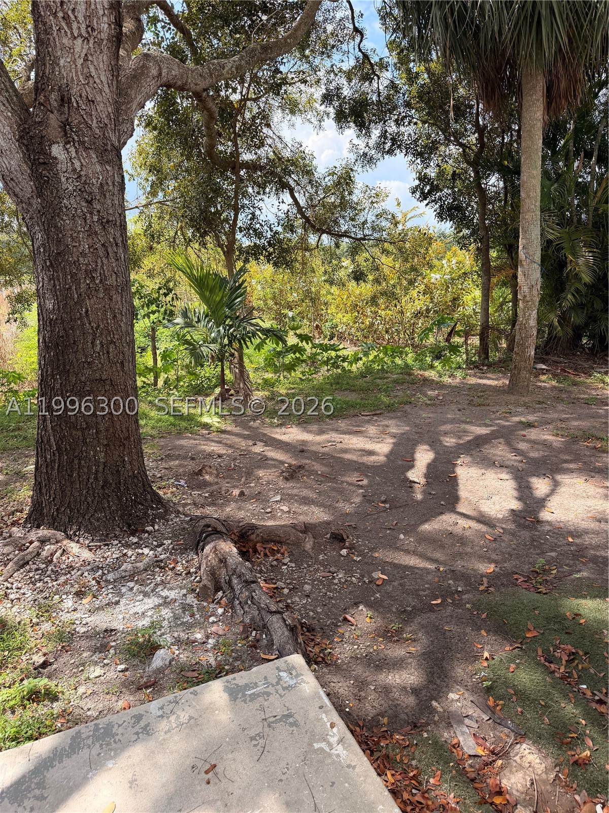 13264 Old Biscayne Dr 405 Property Photo 22