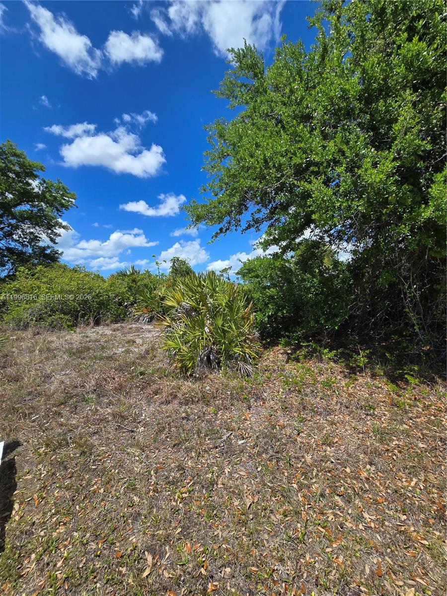 9303 Harvester St