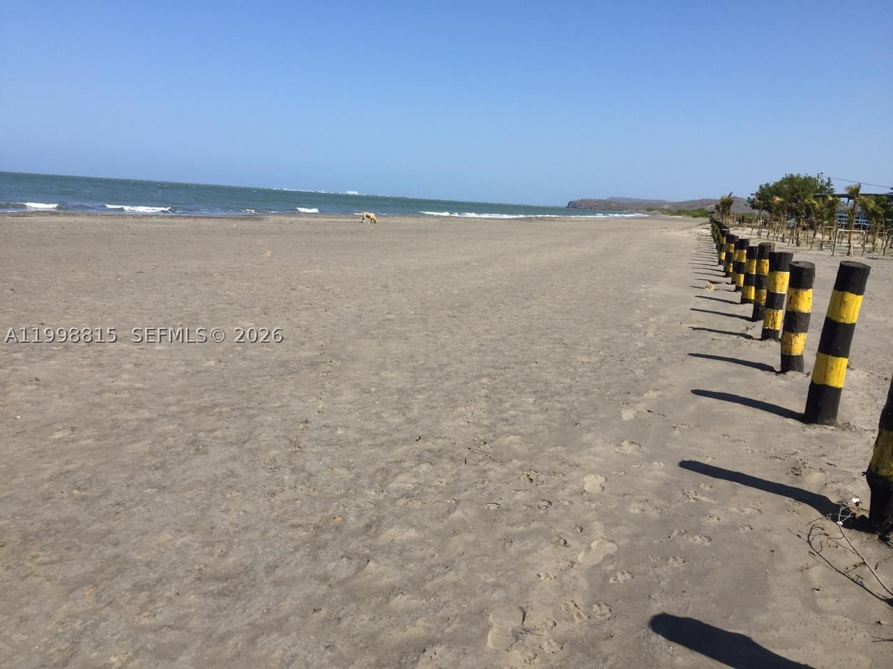 A11998815 Property Photo 19