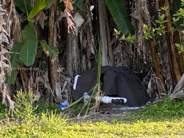Unincorporated Property Photo 7