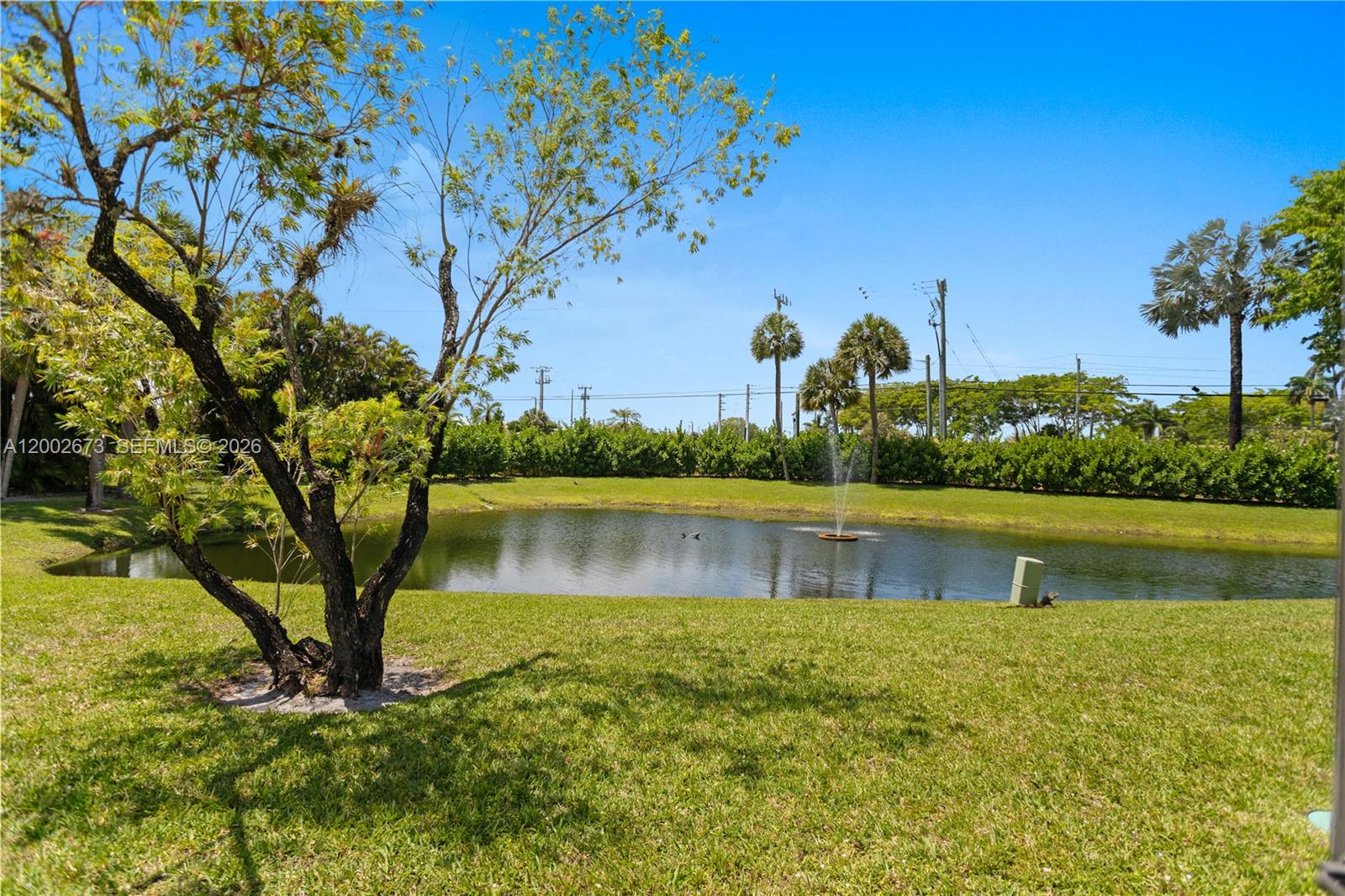 19988 Rima Cir Property Photo 40
