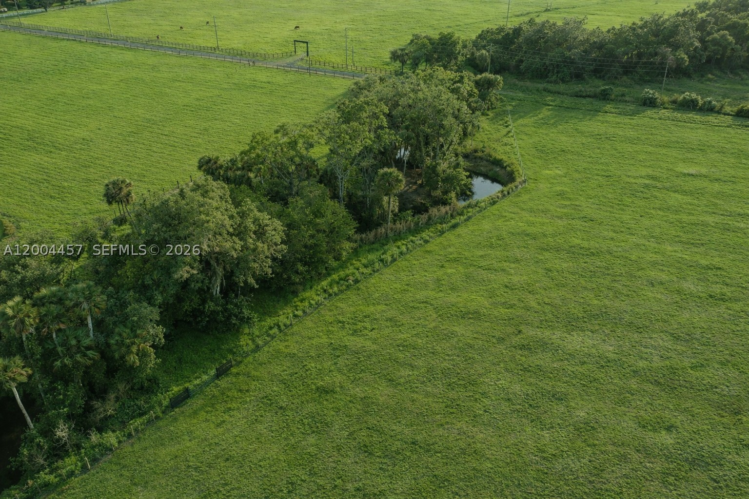 595 Norris Rd Property Photo 14