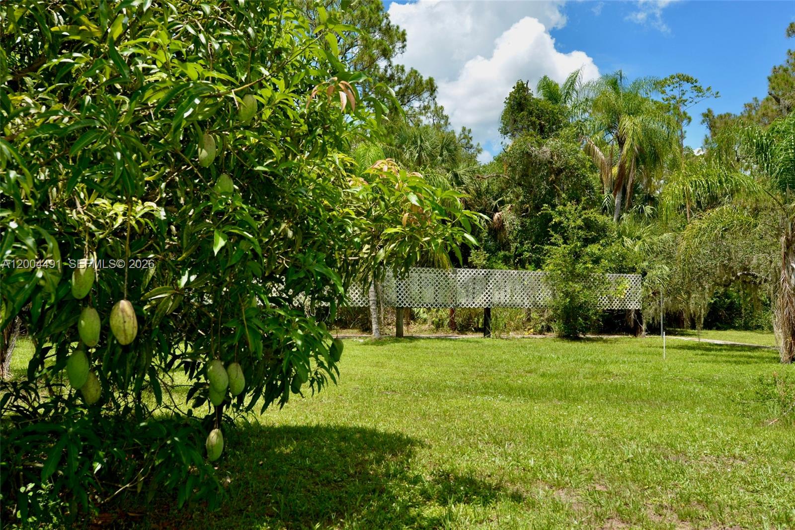 18220 Elmwood Property Photo 37