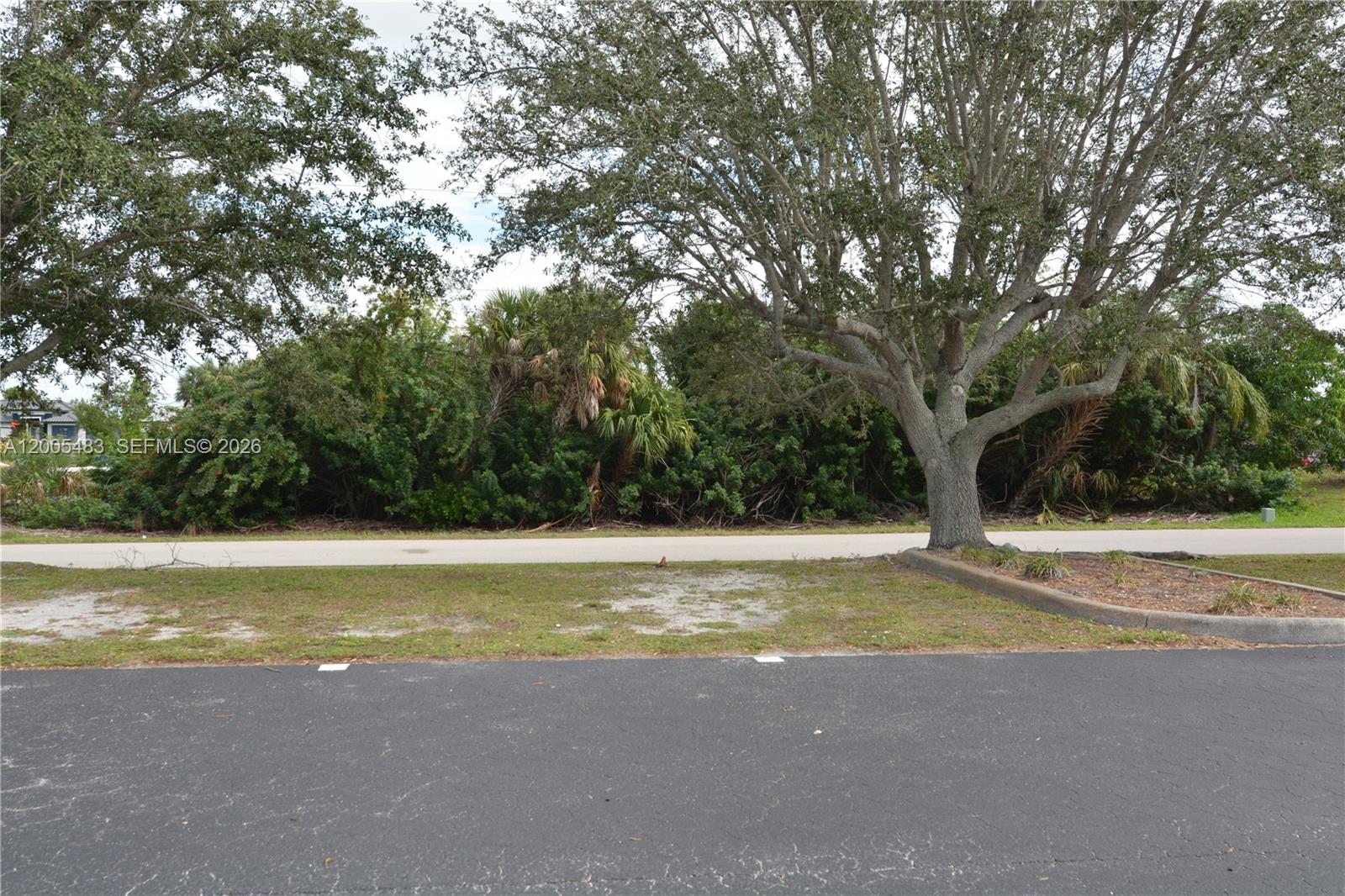 4114 Palm Property Photo 6