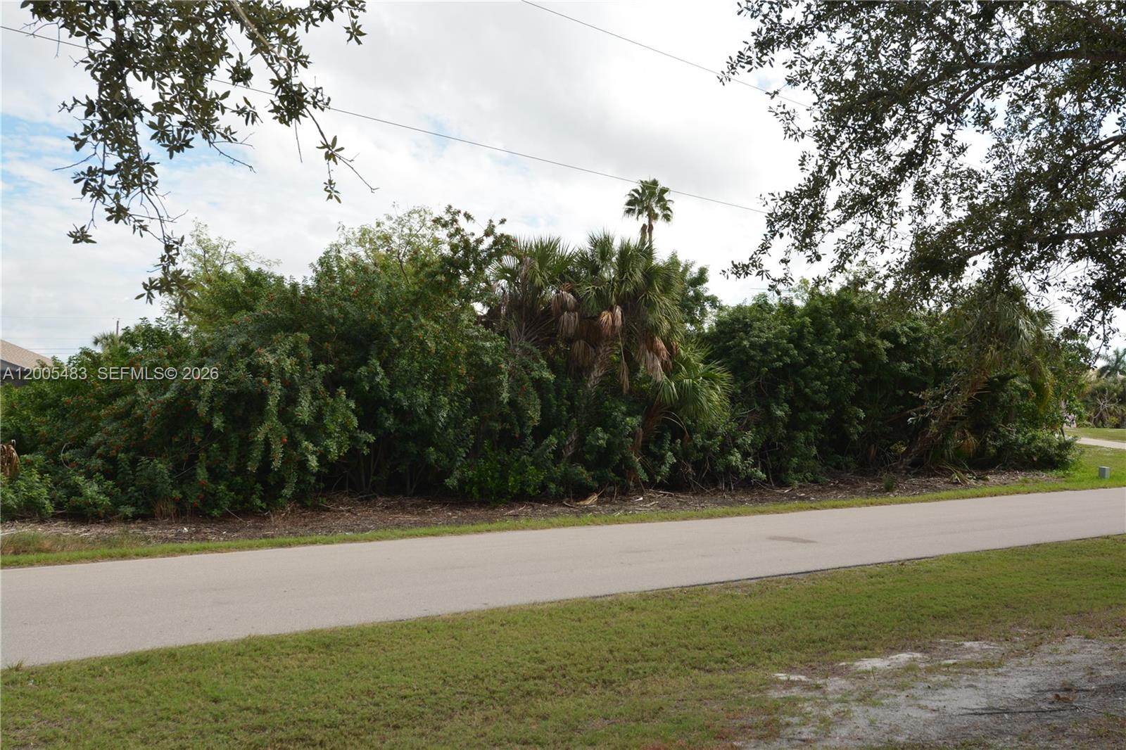 4114 Palm Property Photo 7