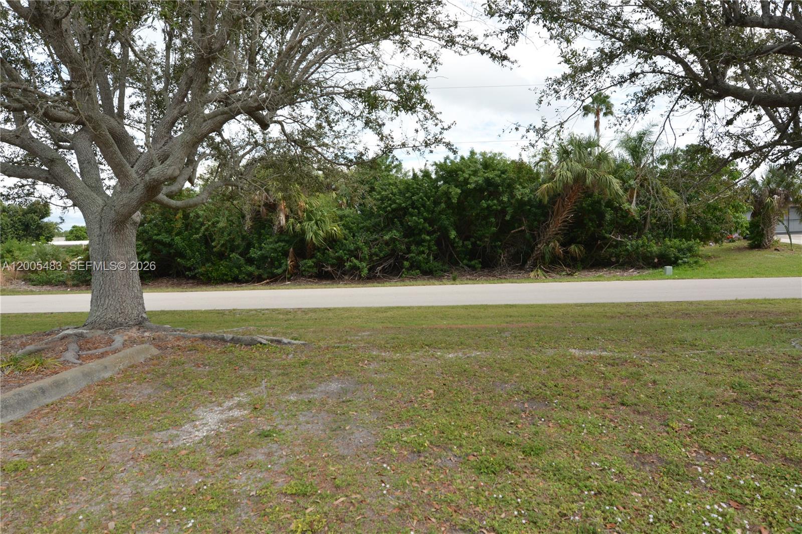4114 Palm Property Photo 11