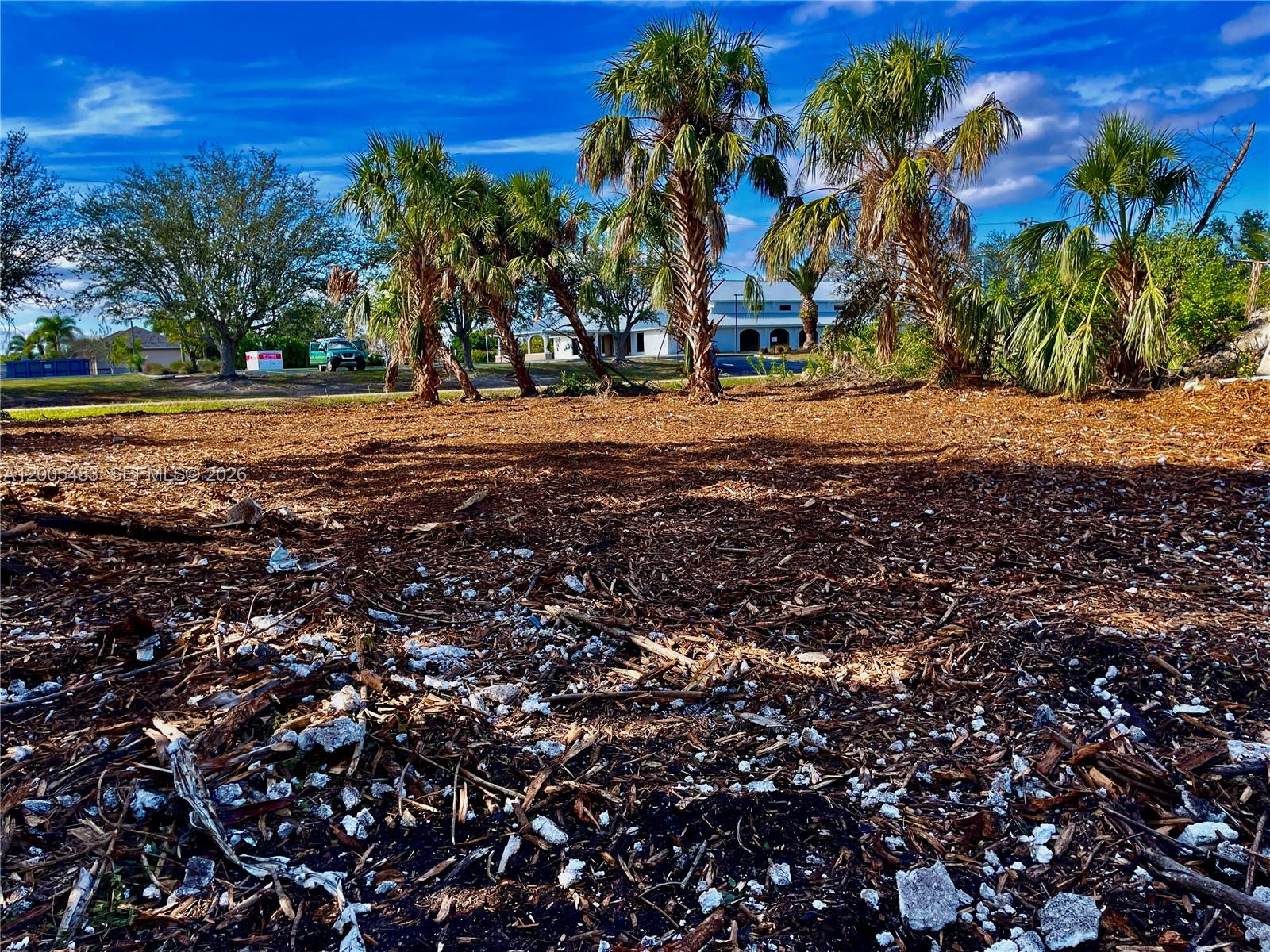 4114 Palm Property Photo 12