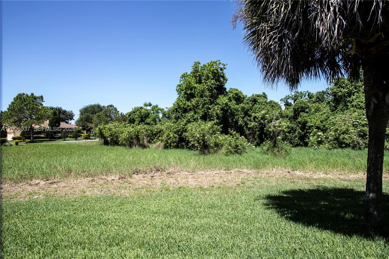 11413 Mountain Bay Dr Property Photo 5