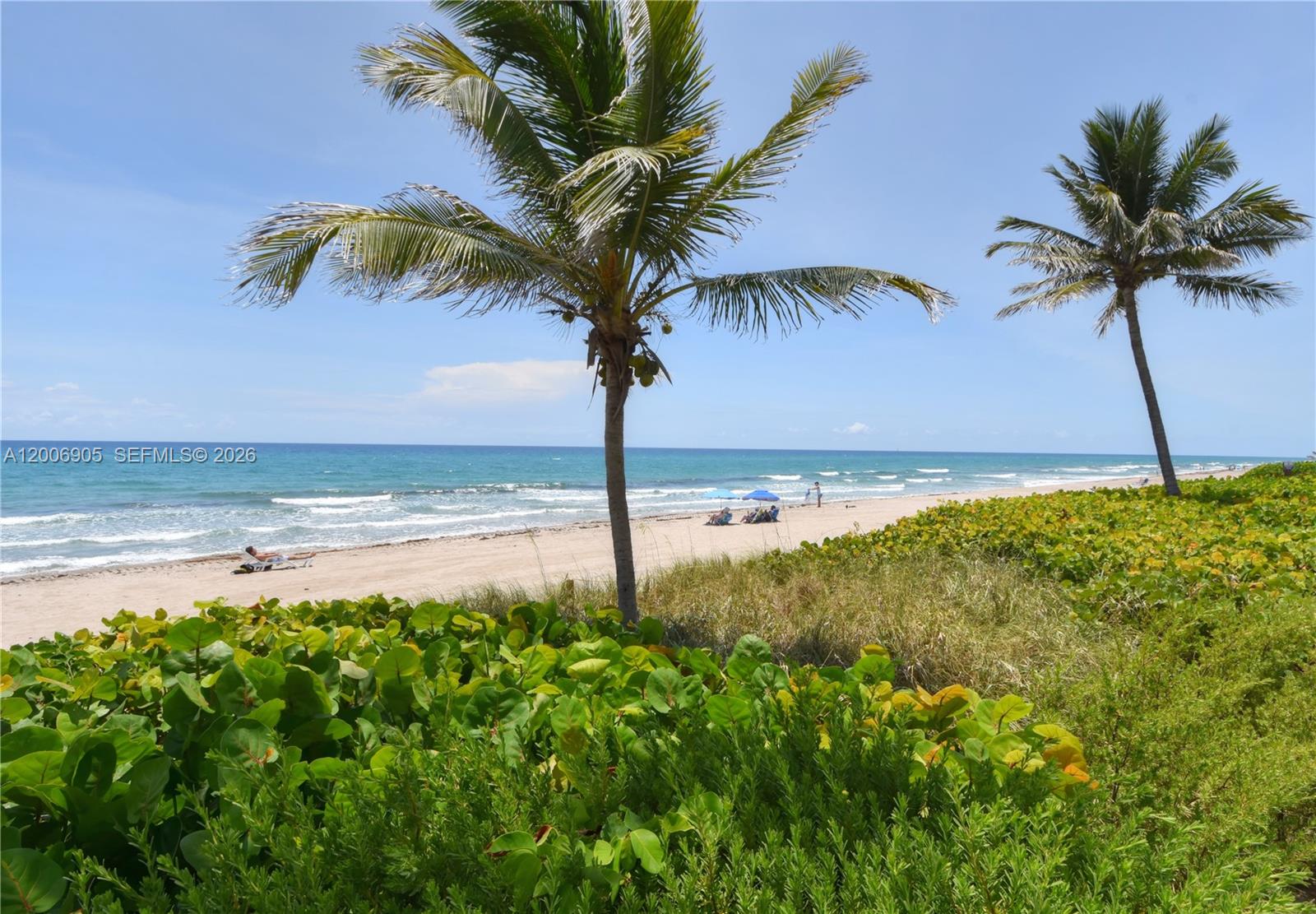 3101 S Ocean Blvd 118
