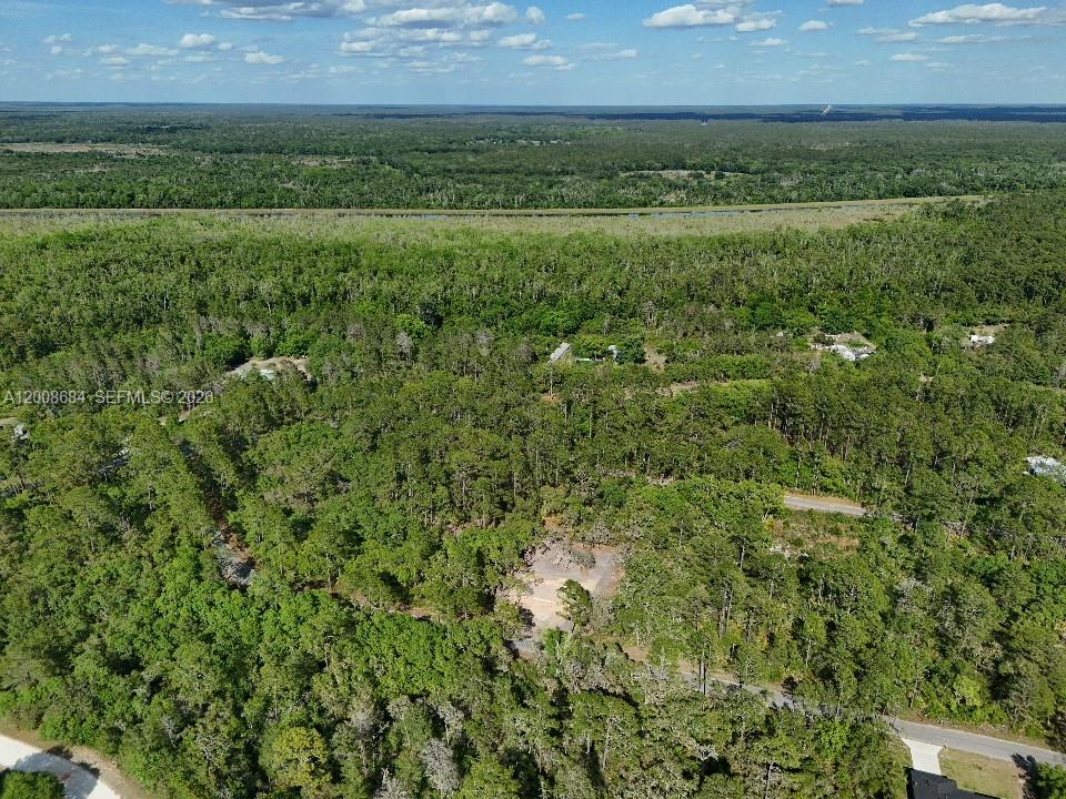 0 Fisher Trace Dr Property Photo 6