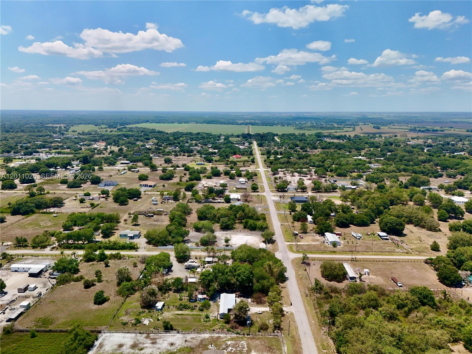242 Bald Cypress Ave Property Photo 4
