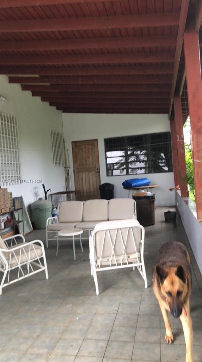 - Padial Sur #171 Aibonito Property Photo 10