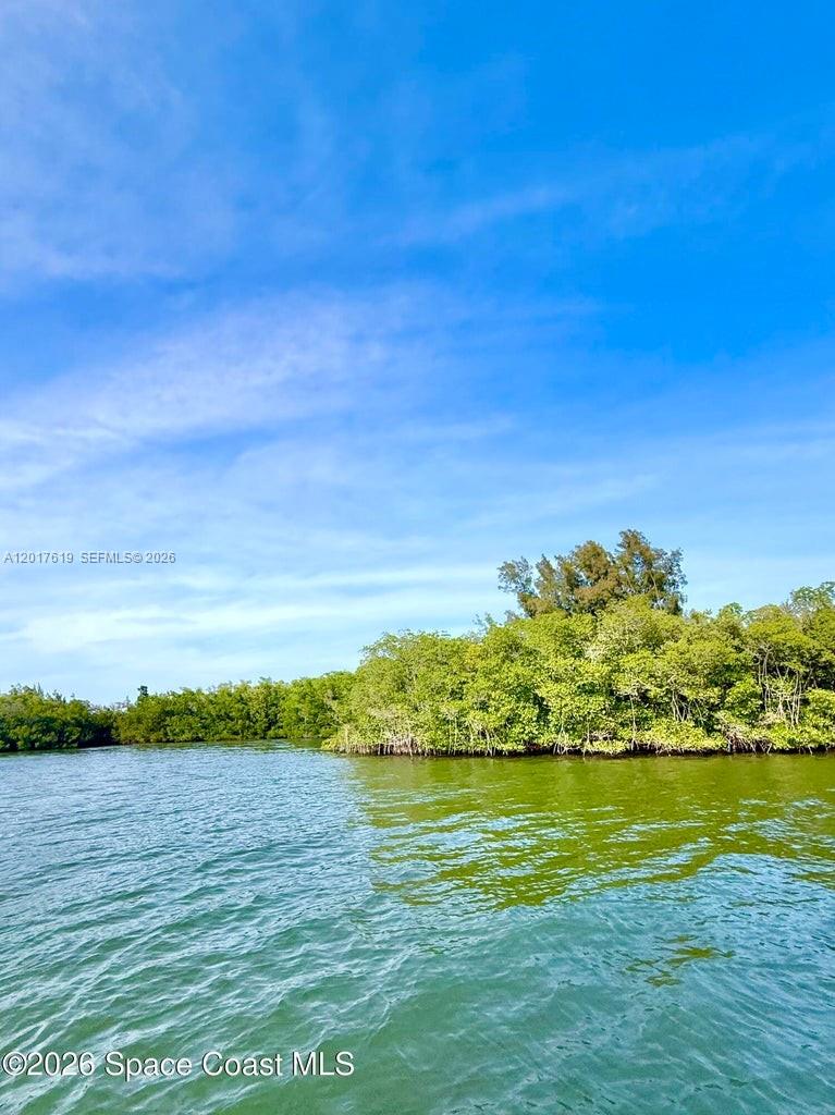 Grant Island Property Photo 3
